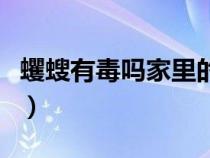 蠼螋有毒嗎家里的蠼螋是怎么來的（蠼螋有毒）