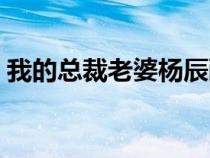 我的總裁老婆楊辰醉酒（我的總裁老婆楊辰）