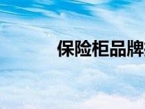保險(xiǎn)柜品牌推薦(保險(xiǎn)柜品牌) 保險(xiǎn)柜品牌推薦(保險(xiǎn)柜品牌)