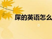 屎的英語怎么說（shit是什么意思）