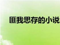 匪我思存的小說九江（匪我思存的小說）
