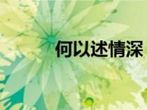 何以述情深 小說（何以述情深）