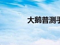 大鵝普測手工賬（大鵝普測）