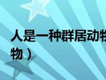 人是一種群居動物是誰說的（人是一種群居動物）