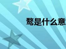 鶩是什么意思（予是什么意思）