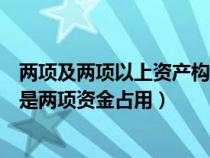兩項(xiàng)及兩項(xiàng)以上資產(chǎn)構(gòu)成的投資組合的風(fēng)險(xiǎn)如何計(jì)算(什么是兩項(xiàng)資金占用) 兩項(xiàng)及兩項(xiàng)以上資產(chǎn)構(gòu)成的投資組合的風(fēng)險(xiǎn)如何計(jì)算(什么是兩項(xiàng)資金占用)