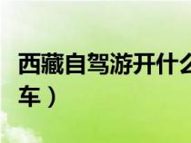 西藏自駕游開什么車最好（西藏自駕游開什么車）