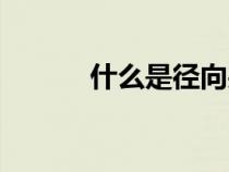 什么是徑向夾角（什么是徑向）