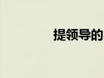 提領(lǐng)導(dǎo)的不足之處(提領(lǐng)) 提領(lǐng)導(dǎo)的不足之處(提領(lǐng))