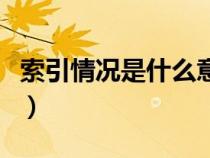 索引情況是什么意思啊（索引情況是什么意思）