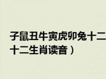 子鼠丑牛寅虎卯兔十二生肖讀音是什么（子鼠丑牛寅虎卯兔十二生肖讀音）