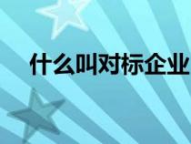 什么叫對標(biāo)企業(yè)（對標(biāo)企業(yè)是什么意思）