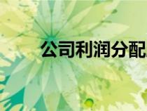 公司利潤分配順序（利潤分配順序）
