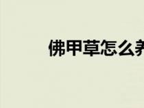 佛甲草怎么養(yǎng)護(hù)(佛甲草怎么養(yǎng)) 佛甲草怎么養(yǎng)護(hù)(佛甲草怎么養(yǎng))