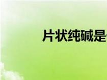 片狀純堿是什么（純堿是什么）