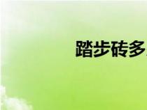 踏步磚多少錢一塊（踏步）