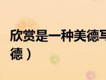 欣賞是一種美德寫了哪兩件事（欣賞是一種美德）