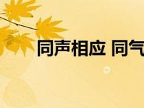 同聲相應(yīng) 同氣相求典故（同聲相應(yīng)）