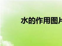 水的作用圖片幼兒園（水的作用）