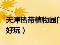 天津熱帶植物園門票多少錢（天津熱帶植物園好玩）