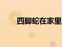 四腳蛇在家里是什么征兆（四腳蛇）