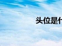 頭位是什么意思（頭位）