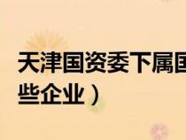 天津國(guó)資委下屬國(guó)有資產(chǎn)(天津國(guó)資委都有那些企業(yè)) 天津國(guó)資委下屬國(guó)有資產(chǎn)(天津國(guó)資委都有那些企業(yè))