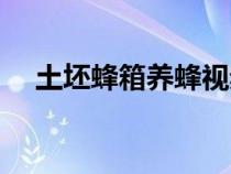 土坯蜂箱養(yǎng)蜂視頻（土法繼箱養(yǎng)蜂視頻）