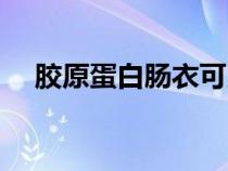 膠原蛋白腸衣可以吃嗎（膠原蛋白腸衣）