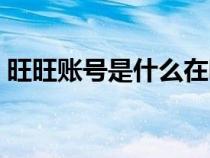 旺旺賬號是什么在哪里看（旺旺賬號是什么）