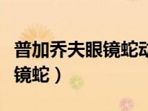 普加喬夫眼鏡蛇動(dòng)作的實(shí)戰(zhàn)意義(普加喬夫眼鏡蛇) 普加喬夫眼鏡蛇動(dòng)作的實(shí)戰(zhàn)意義(普加喬夫眼鏡蛇)