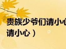 貴族少爺們請小心小說講的什么（貴族少爺們請小心）