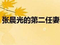 張晨光的第二任妻子是（張晨光第一任妻子）