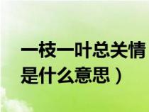 一枝一葉總關(guān)情 什么意思（一枝一葉總關(guān)情是什么意思）