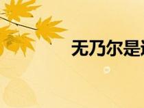 無乃爾是過與 翻譯（無乃）