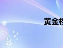 黃金檔次（黃金檔）