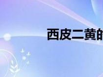 西皮二黃的區(qū)別（西皮二黃）