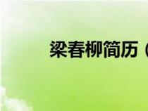 梁春柳簡(jiǎn)歷（梁春祿為什么被免）