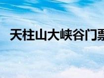 天柱山大峽谷門票多少錢（天柱山大峽谷）