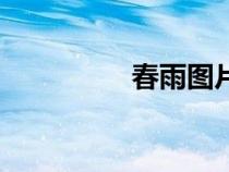 春雨圖片唯美（春雨圖）