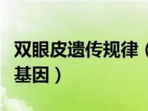 雙眼皮遺傳規(guī)律（雙眼皮是顯性基因還是隱性基因）