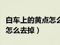 白車上的黃點(diǎn)怎么去掉不傷漆（白車上的黃點(diǎn)怎么去掉）