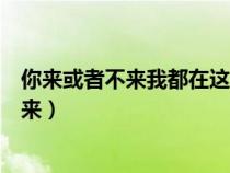 你來或者不來我都在這里不悲不喜是哪首詩詞（你來或者不來）