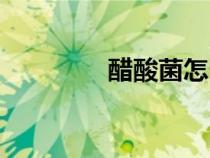 醋酸菌怎么培養(yǎng)（醋酸菌）