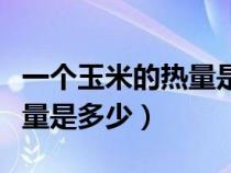 一個玉米的熱量是多少卡路里（一個玉米的熱量是多少）