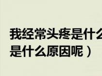 我經(jīng)常頭疼是什么原因引起的（我經(jīng)常的頭疼是什么原因呢）