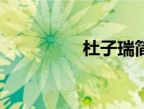 杜子瑞簡(jiǎn)介（杜梓違紀(jì)）