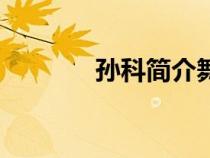 孫科簡介舞蹈家（孫科簡介）