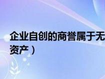 企業(yè)自創(chuàng)的商譽屬于無形資產嘛（企業(yè)自創(chuàng)的商譽屬于無形資產）