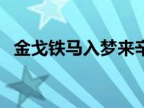 金戈鐵馬入夢來辛棄疾（金戈鐵馬入夢來）